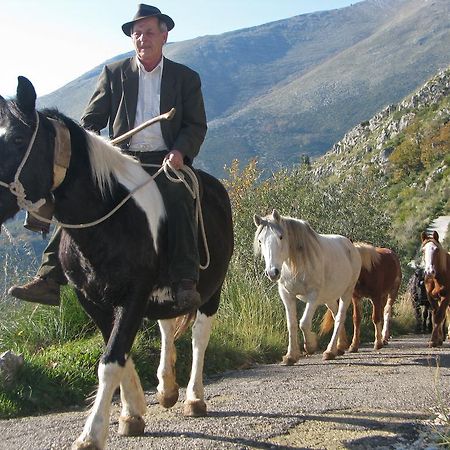 فيلا فورميافي Il Nido Dei Gemelli المظهر الخارجي الصورة